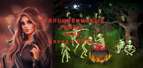 гашик Наволоки